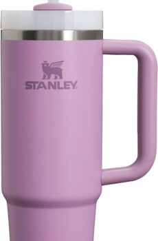 Stanley Quencher H2.0 FlowState Stainless Steel Vacuum Insulated Tumbler with Lid and Straw for Water, Iced Tea or Coffee, Smoothie and More, Lilac, 30oz