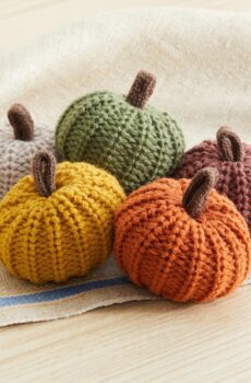 Mini knit pumpkins set of 5, hygge decor, cozy gifts for women, autumn bowl fillers fall farmhouse tier tray decor, decorative pumpkins for friend (Mini Autumn Set)