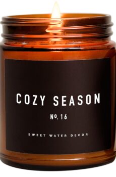 Sweet Water Decor Cozy Season Candle | Woods, Warm Spice, and Citrus Autumn Scented Soy Candles for Home | 9oz Amber Jar, 40 Hour Burn Time, Made in the USA