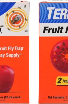 Terro Fruit Fly Trap 4 Traps + 180 Days Lure Supply