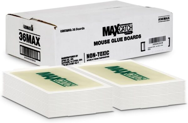 Catchmaster Max-Catch Mouse & Insect Glue Trap 36Pk, Mouse Traps Indoor for Home, Sticky Pest Control Adhesive Tray for Catching Bugs, Rats & Rodents, Non Toxic Bulk Pre-Baited Glue Boards - Image 7