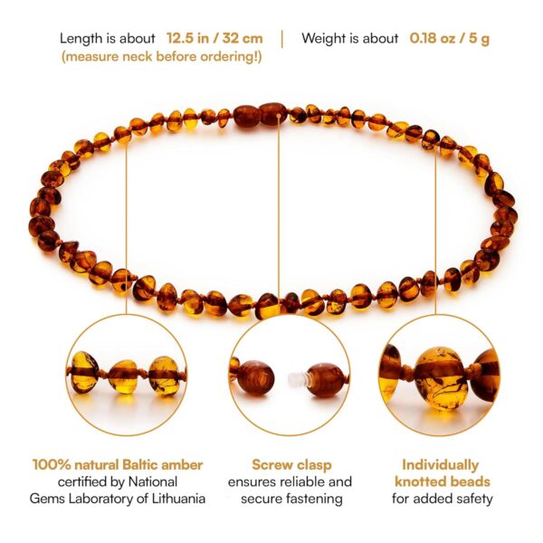 Baltic Amber Necklace (Authentic, Certified) - 12.5 inches - Unisex Jewelry - Cognac (Polished) - Real Amber Beads - Proud to Deliver Genuine Baltic Sea Wonder - Ambar - Image 2