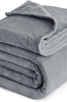 Bedsure Fleece Bed Blankets Queen Size Grey - Soft Lightweight Plush Fuzzy Cozy Luxury Blanket Microfiber, 90x90 inches