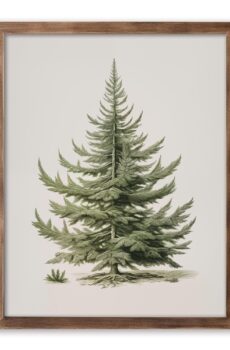 Christmas Tree Art Print, Vintage Fir Botanical Sketch, Christmas Tree Painting Print, Pine Tree Antique Print, Christmas Tree Wall Art