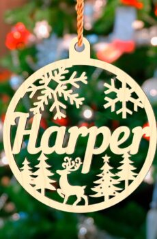 Personalized Christmas Ornaments with Names – Custom Christmas Ornament for Kids and Adults, Custom Ornaments Name Ornaments for Christmas Tree Personalized Ornaments with Names