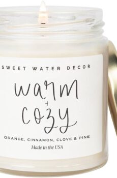 Sweet Water Decor Warm and Cozy Candle – Pine Cinnamon & Fir Winter Scented Orange Candle – Scented Soy Candles for Home with 40 Hour Burn Time – 9oz Clear Jar Winter Candle Made in the USA