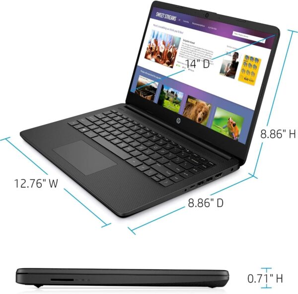 HP 14 Laptop • Back to School Limited Edition with Microsoft 365 • 4-Core Intel CPU • 16GB RAM •1600GB Storage (64GB OnBoard + 512GB P500 Portable SSD + 1TB OneDrive) • Black • Win 11 - Image 8