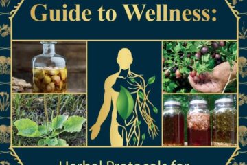 The Holistic Guide to Wellness : Herbal Protocols for Common Ailments